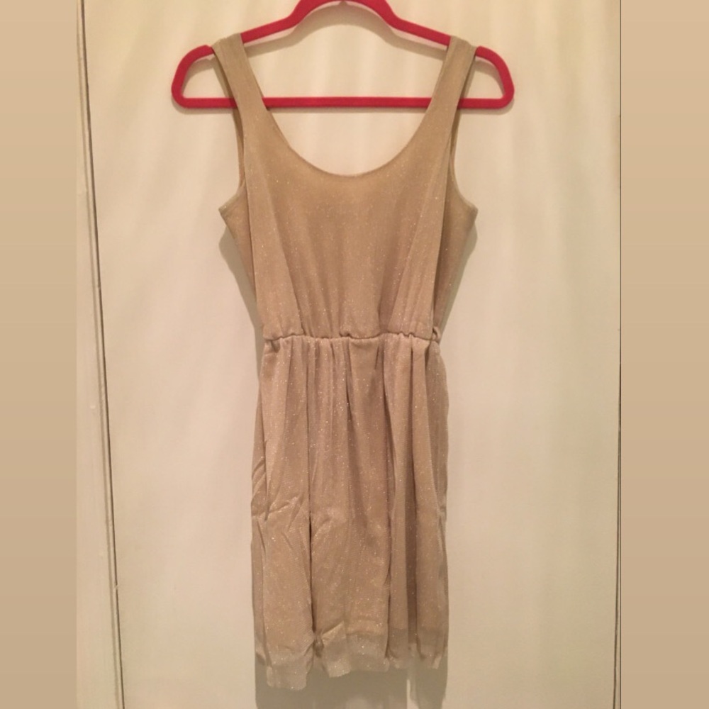 Gold Shimmer Dress, Singed Waste